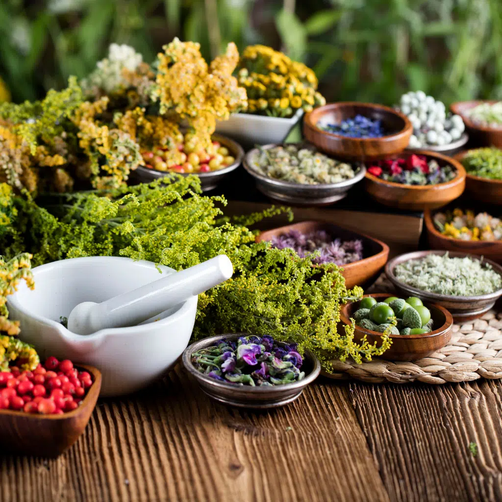 7 Plantes Essentielles pour Créer votre Pharmacie Naturelle