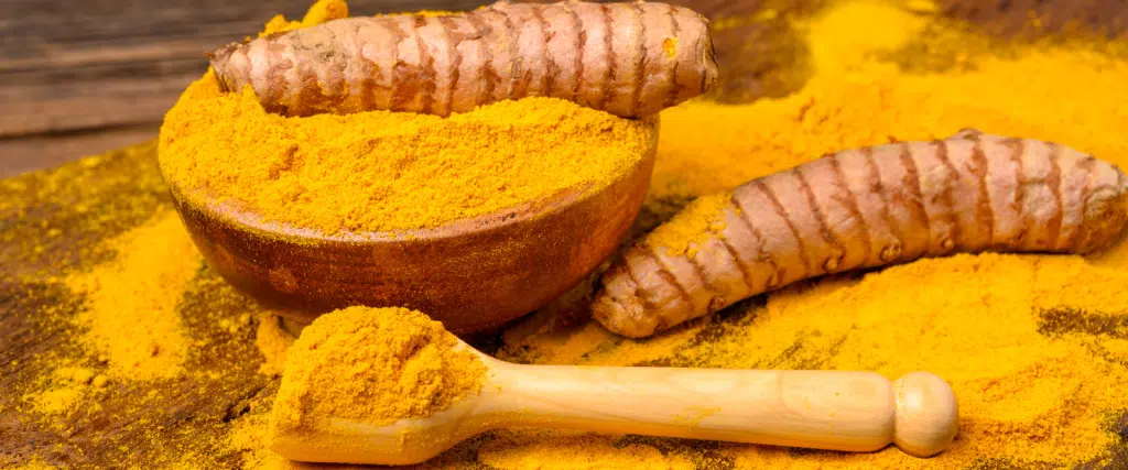 plante détox Curcuma accueil