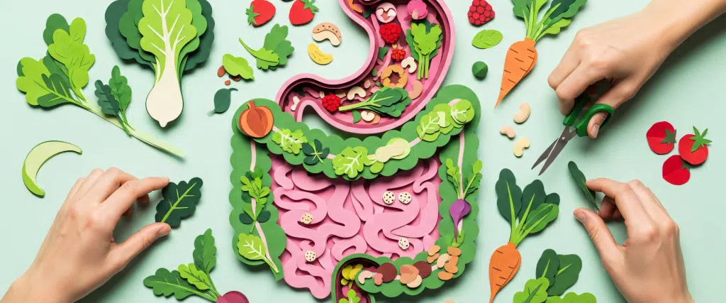 digestion & confort intestinal