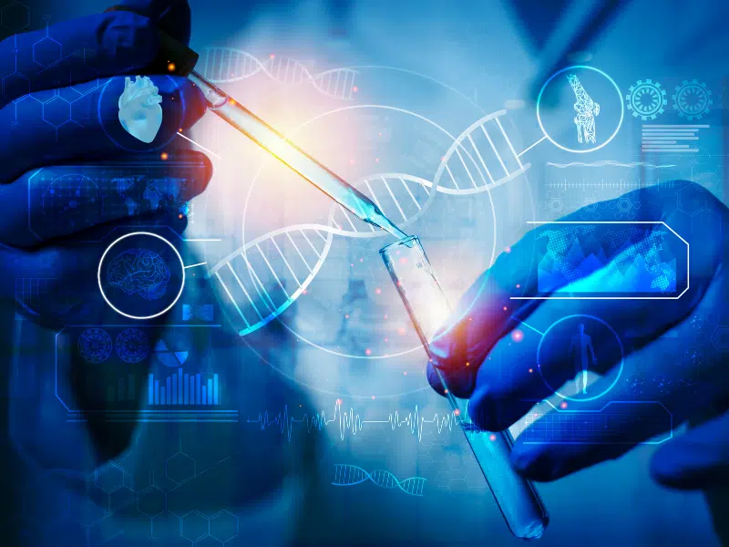 Ce que Dit la Science Moderne sur le Sidr