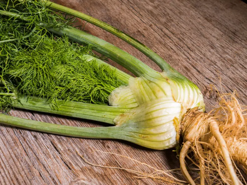 fenouil un légume pas si commun à redécouvrir