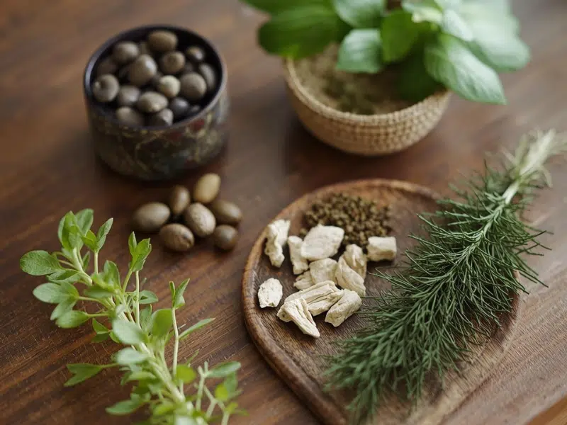 les 5 plantes adaptogènes les plus efficaces