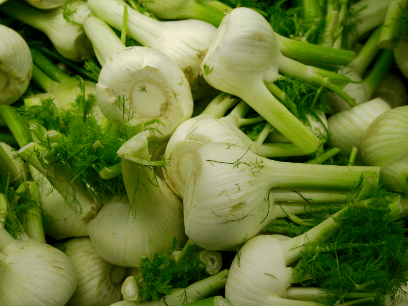 les bienfaits du fenouil sur la santé plus qu'un simple légume