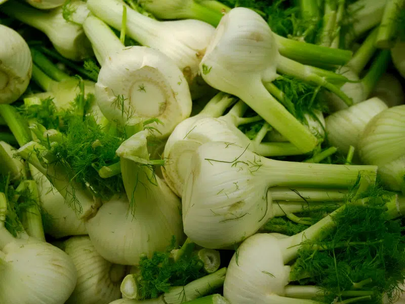 les bienfaits du fenouil sur la santé plus qu'un simple légume
