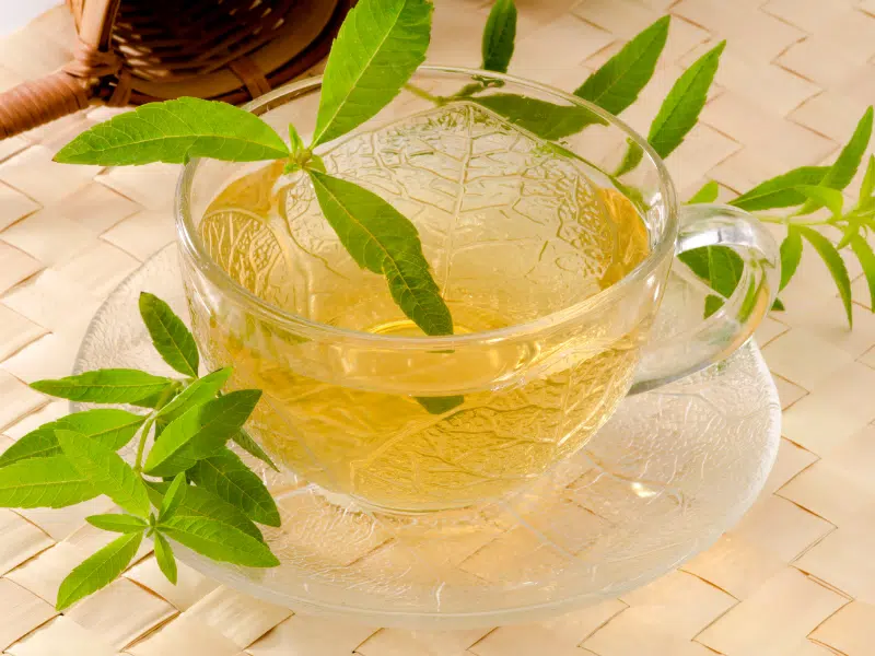 les bienfaits reconnus de la verveine sommeil et digestion
