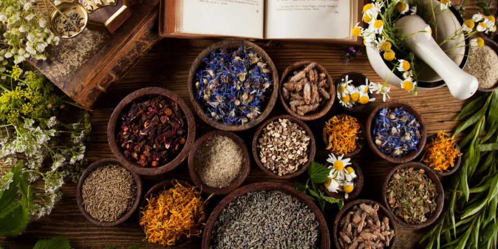 médecine naturelle tradition et science moderne accueil