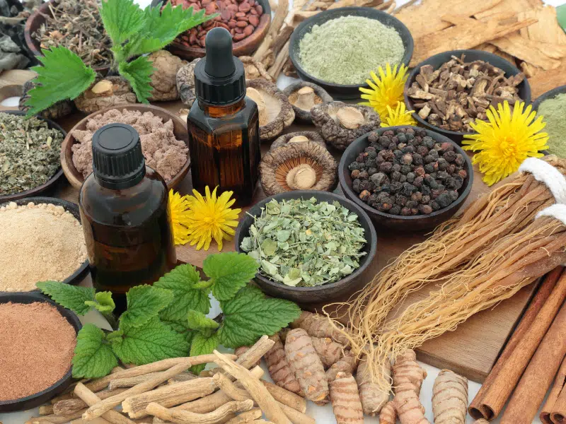 Découvrez nos Remèdes à base de plantes 