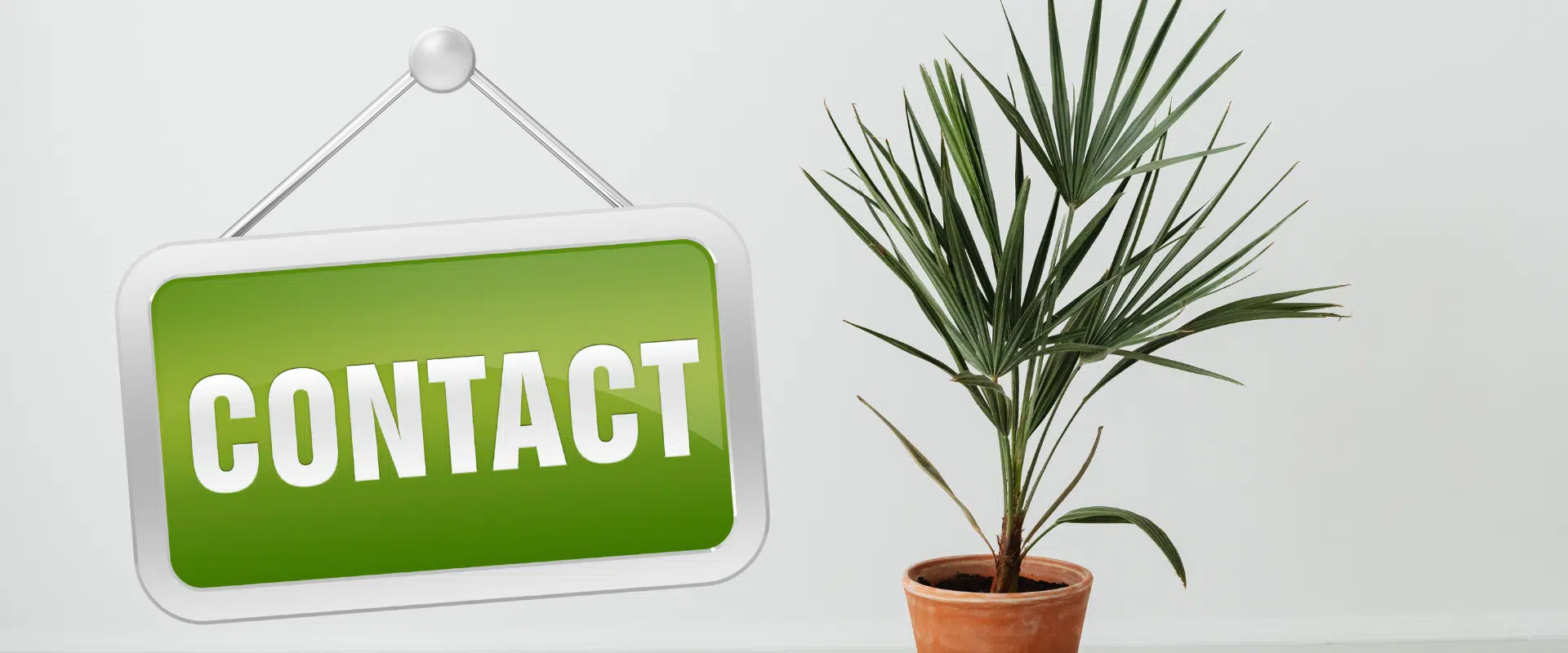 page contact