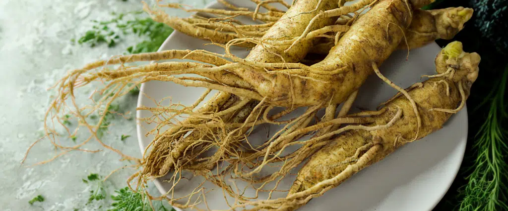 Plantes Adaptogènes : Le Guide Complet pour Gérer Stress et Fatigue Naturellement