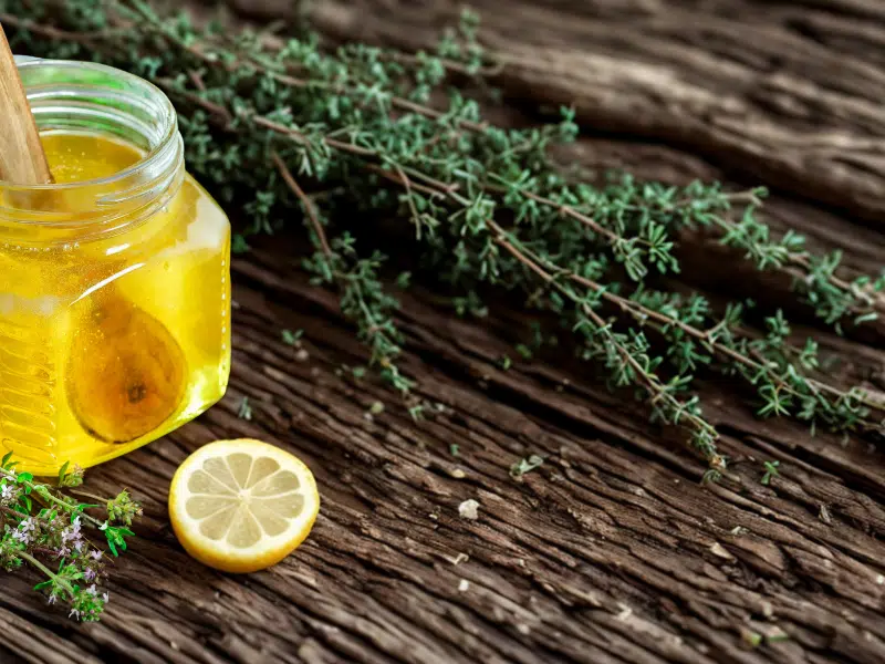 le thym, bien plus qu'une simple herbe de provence