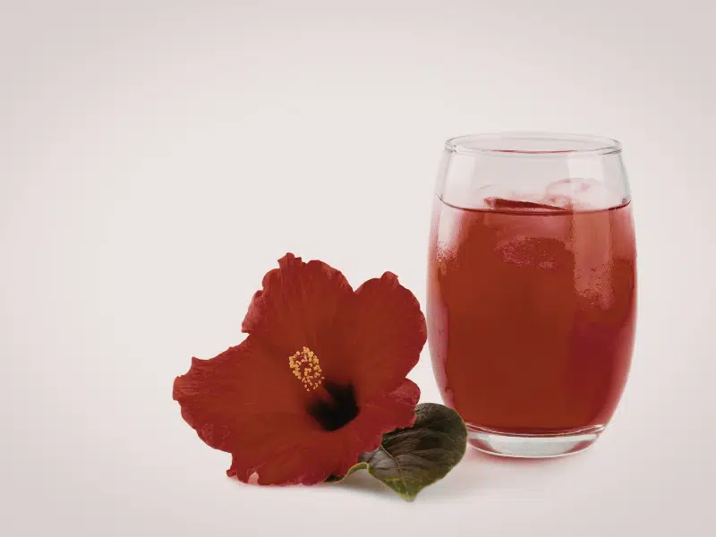 l'hibiscus, une fleur chargée de symboles à travers le monde