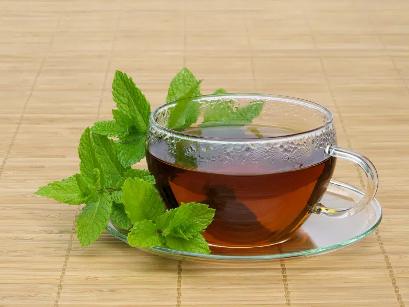 La Tisane Menthe Poivrée L'Anti-Spasmes Express les 5 Tisanes Maison