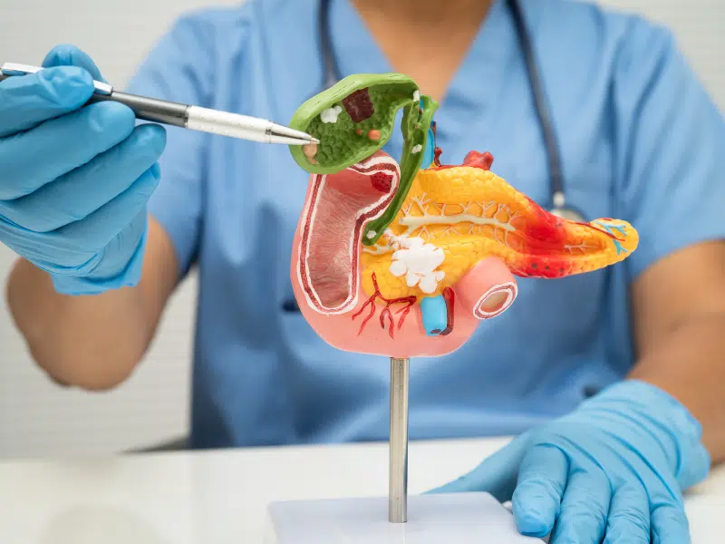 Les Enzymes Digestives Faciliter la Dégradation des Aliments compléments alimentaires pour ma digestion