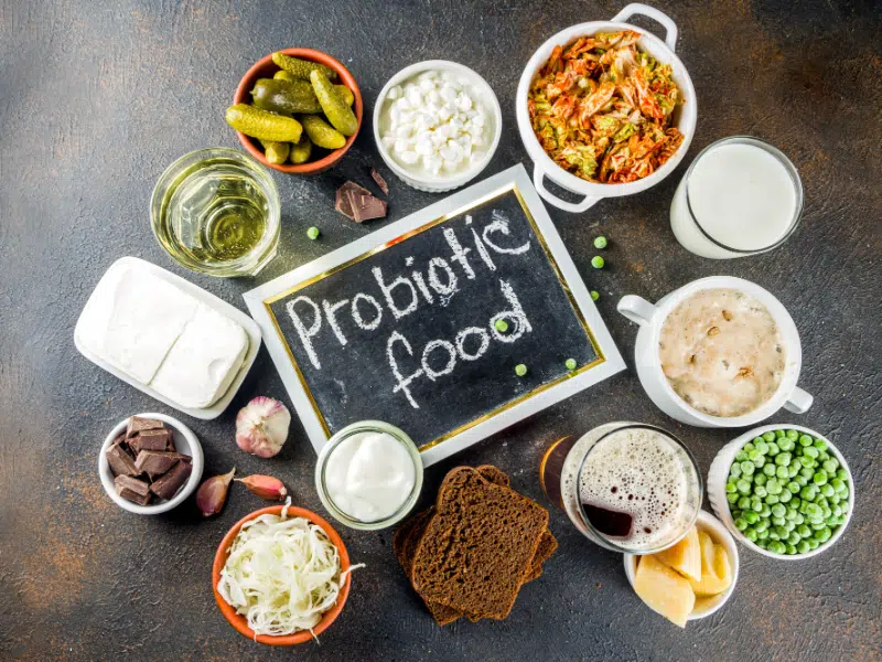Les Probiotiques Restaurer l'Équilibre du Microbiote compléments alimentaires pour la digestion