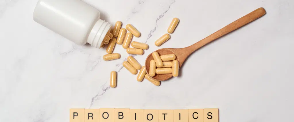 Les meilleurs probiotiques naturels pour votre santé