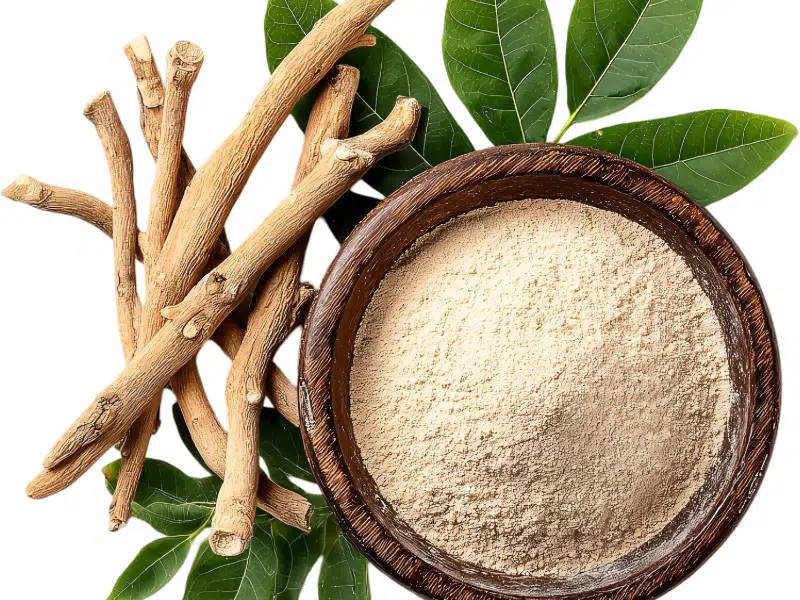 Qu'est-ce que l'Ashwagandha ?