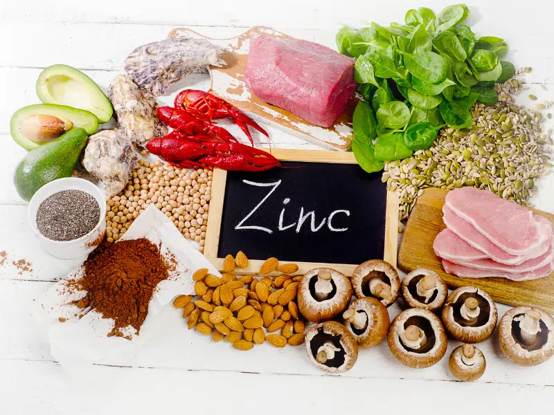 Le Problème Pourquoi manquons-nous de Zinc au quotidien